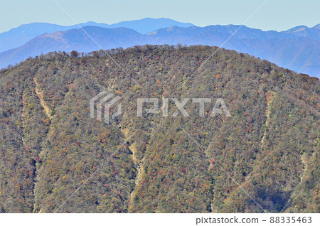 從丹澤的檜木寶丸眺望山梨百座名山之一的大室山 88335463
