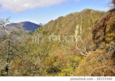 View of Mt. Omuro from the azalea new road of Hinokihoramaru in the Tanzawa Mountains of autumn colors 88335480