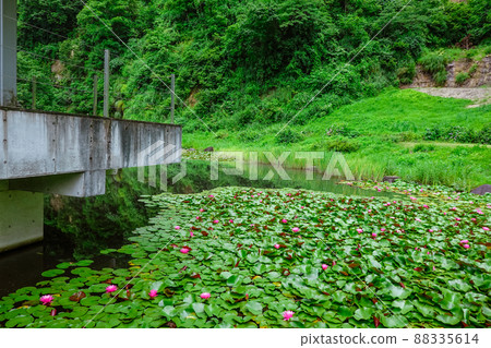 Shinmeimizube Park (Tokamachi City, Niigata Prefecture) 88335614