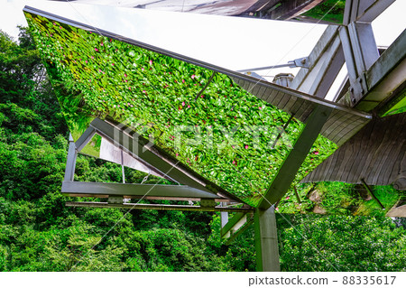 Shinmeimizube Park (Tokamachi City, Niigata Prefecture) Shinmeimizube Park (Tokamachi City, Niigata Prefecture) 88335617