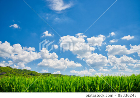 [Osaka] August, blue sky and summer rural scenery 88336245