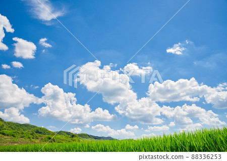 [Osaka] August, blue sky and summer rural scenery 88336253