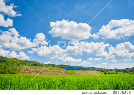 [大阪]八月藍天夏日田園風光 88336269