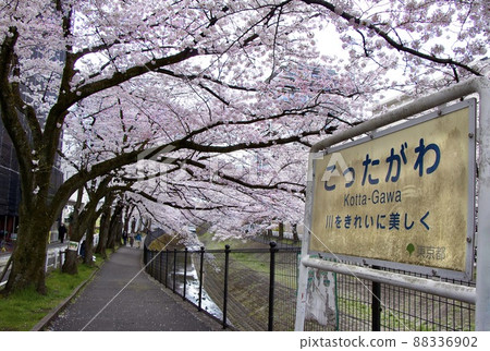 Ogada River 88336902