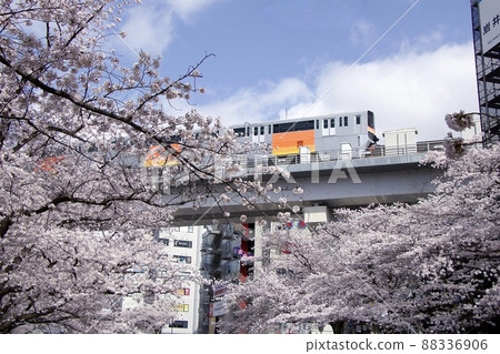 Ogada River 88336906