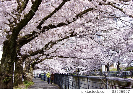 Ogada River 88336907