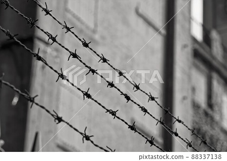 Barbed wire 88337138