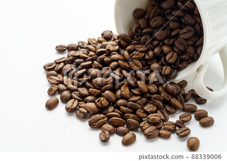 Coffee beans  88339006