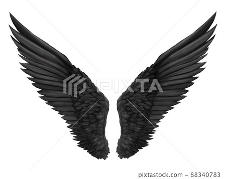 黑色的翅膀材料圖 88340783