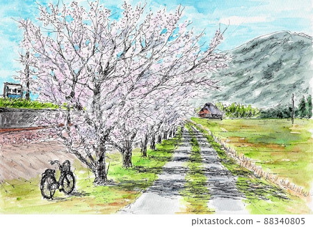 Cherry blossoms in front of the station 88340805