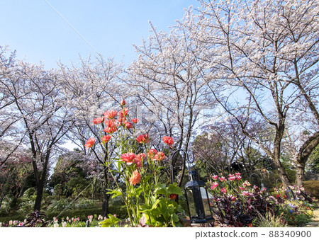 春季 春季 88340900