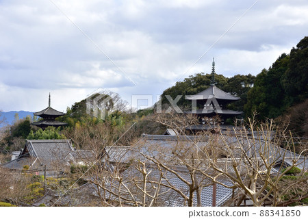 Taima-dera的冬天風景 88341850