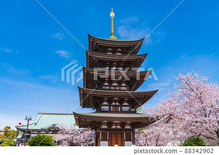 春天的角王山二太寺,櫻花盛開<愛知縣名古屋市> 春天的角王山二太寺,櫻花盛開<愛知縣名古屋市> 88342902