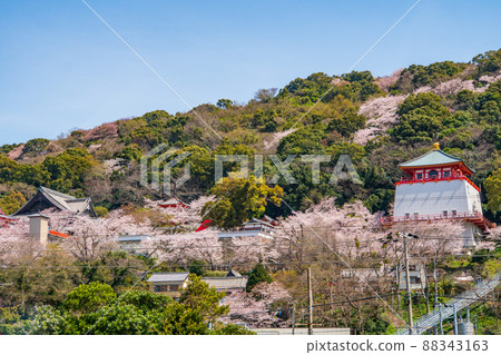和歌山櫻公井寺 和歌山櫻公井寺 88343163