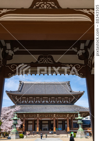 春天東別院，櫻花盛開<愛知縣名古屋市> 88343505