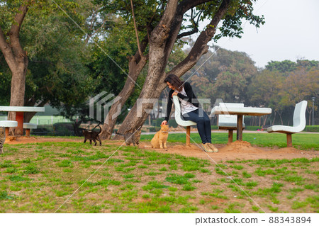 Girl in the city park pet street cats Girl in the city park pet street cats 88343894