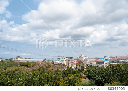 Aewol-eup Goseong-ri village panoramic view at spring in Jeju island, Korea Aewol-eup Goseong-ri village panoramic view at spring in Jeju island, Korea 88343903