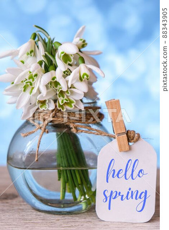 Greeting card text HELLO SPRING lettering with snowdrop flowers. Early spring flowers. Springtime. Fresh bouquet Greeting card text HELLO SPRING lettering with snowdrop flowers. Early spring flowers. Springtime. Fresh bouquet 88343905