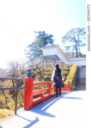 A woman traveling alone in Odawara in spring 88344072