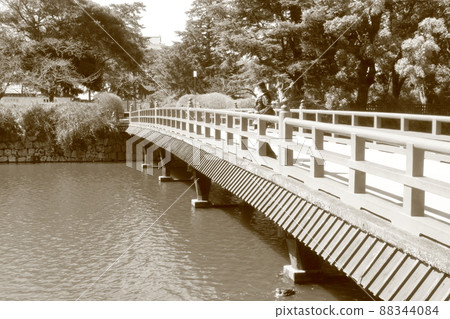 春天獨自在小田原旅行的女人 88344084