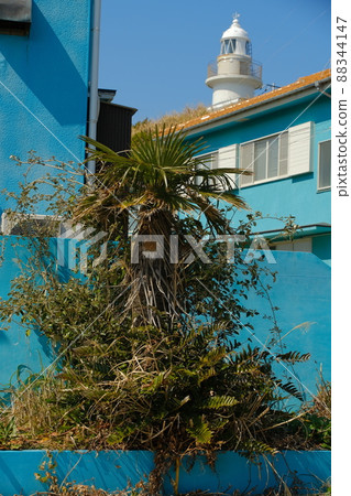 Jogashima的燈塔 88344147