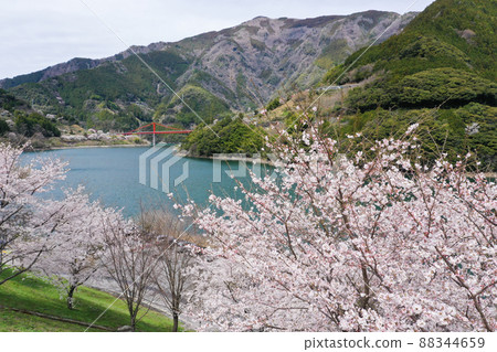 Odo Dam in Spring, Niyodogawa Town, Kochi Prefecture Odo Dam in Spring, Niyodogawa Town, Kochi Prefecture 88344659