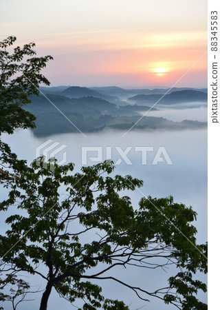 Sea of clouds in Kamakurayama, Motegi, Tochigi prefecture 88345583