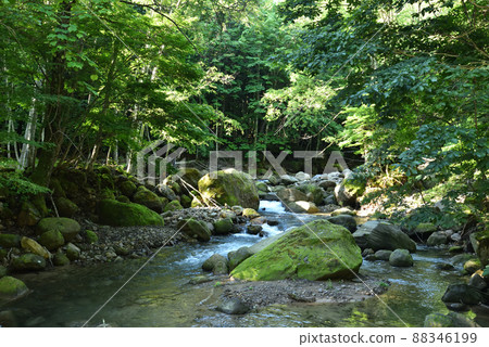 Okukinu trekking, to Kinunumayama Okukinu trekking, to Kinunumayama 88346199