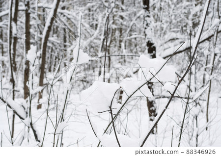 Winter landscape with a park Winter landscape with a park 88346926
