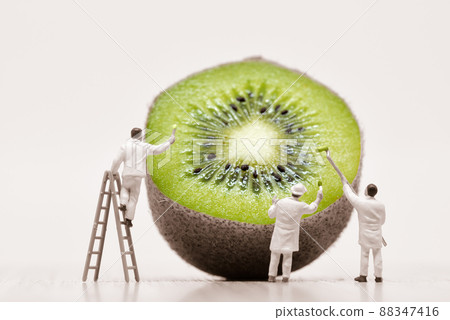 Painters coloring kiwi. Macro photo Painters coloring kiwi. Macro photo 88347416