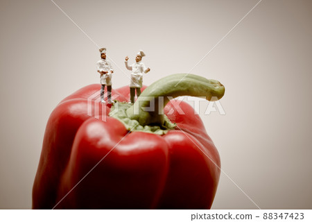 Chefs talking. Macro photo Chefs talking. Macro photo 88347423