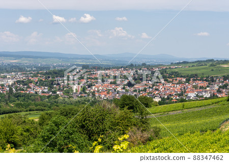 Ingelheim, Rhein, Germany during summertime Ingelheim, Rhein, Germany during summertime 88347462