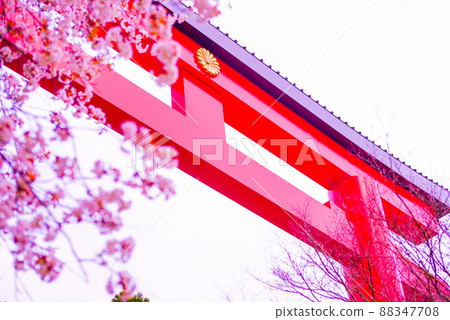 Torii Torii 88347708