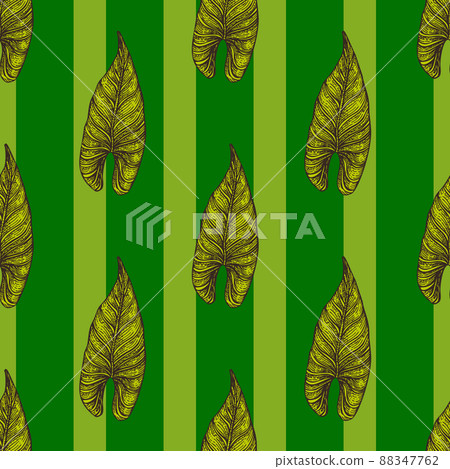 Engraving leaf araceae seamless pattern. Vintage leaves background. 88347762
