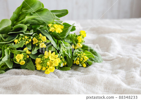 Bok choy with flowers Bok choy with flowers 88348233