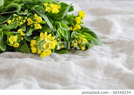 Bok choy with flowers Bok choy with flowers 88348234