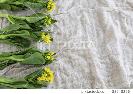 Bok choy with flowers 88348236