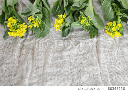 Bok choy with flowers Bok choy with flowers 88348238