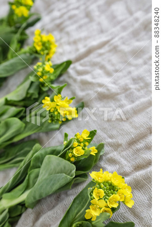 Bok choy with flowers Bok choy with flowers 88348240