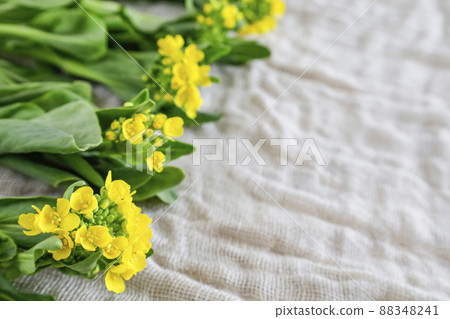 Bok choy with flowers Bok choy with flowers 88348241