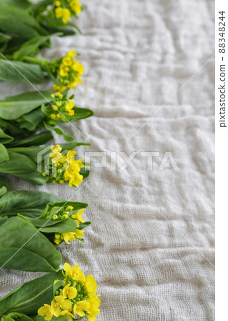 Bok choy with flowers 88348244