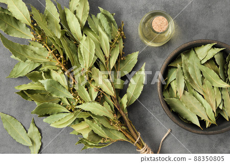 Bowl of dried laurel leaves, branch of green bay leaves, bottle of natural bay laurel essential oil on wooden table, top view. Bowl of dried laurel leaves, branch of green bay leaves, bottle of natural bay laurel essential oil on wooden table, top view. 88350805