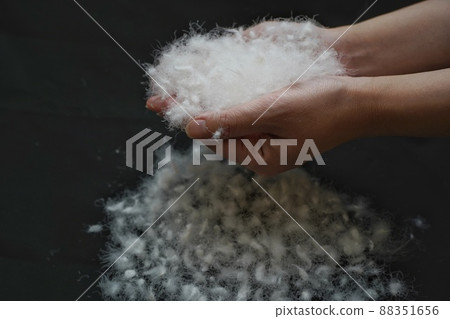 蓬鬆羽毛的羽絨球圖像素材 蓬鬆羽毛的羽絨球圖像素材 88351656
