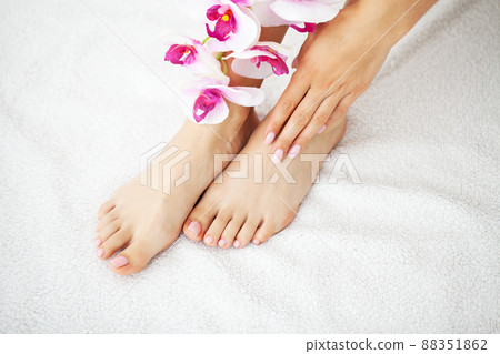 Legs of young woman with beautiful pedicure 88351862
