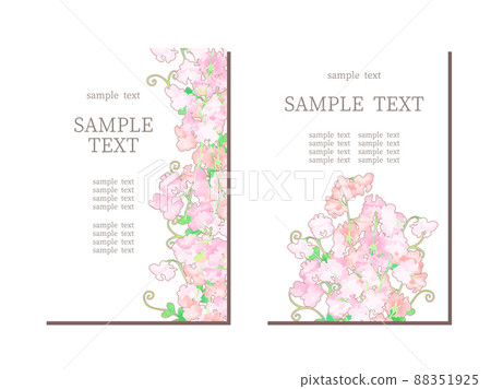Sweet pea illustration frame Sweet pea illustration frame 88351925