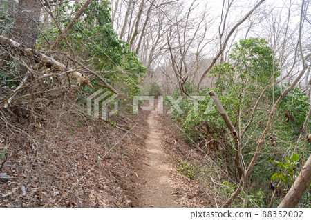 Mountain trail from Mt. Miiwa to Mt. Takasuzu (Hitachi Alps) 88352002