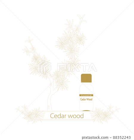 雪鬆線描，精油瓶，雪松精油 88352243