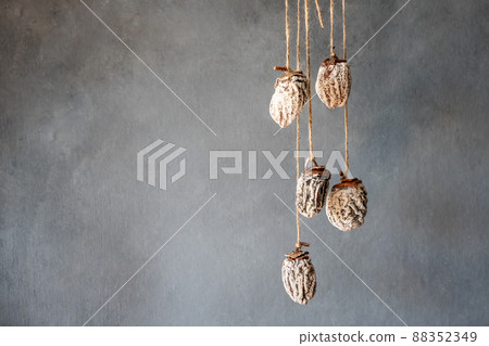 dried persimmon hanging on the ropes. Gray background dried persimmon hanging on the ropes. Gray background 88352349