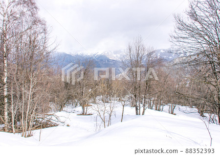 A beautiful white landscape in France A beautiful white landscape in France 88352393