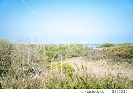 A beautiful view of the dunes and the sea in the Netherlands A beautiful view of the dunes and the sea in the Netherlands 88352394